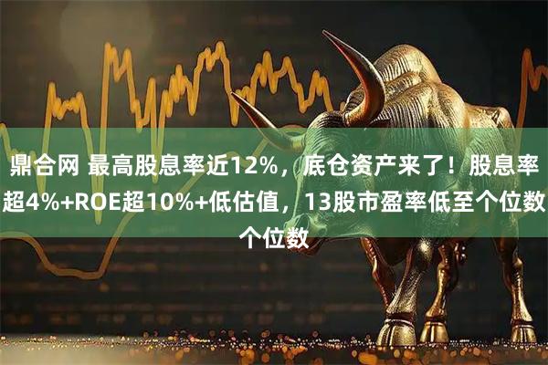 鼎合网 最高股息率近12%,底仓资产来了!股息率超4%+ROE超10%+低估值,13股市盈率低至个位数